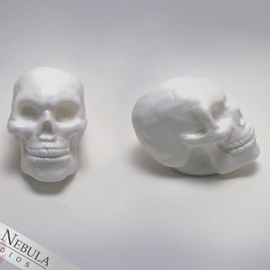 Small Human Skull in White Resin, Miniature Skeleton Head, Unpainted Skull Decor, Creepy Halloween Decoration, Mini Skull Figurine image 4