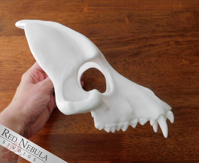 Wolf Skull Mask Blank White Cast Resin Mask for Wolf, Dog, Fox, Coyote, Jackal, or other Canines image 5