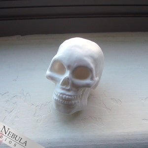 Small Human Skull in White Resin, Miniature Skeleton Head, Unpainted Skull Decor, Creepy Halloween Decoration, Mini Skull Figurine image 2
