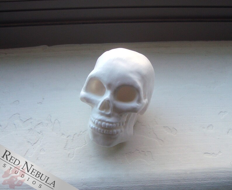 Small Human Skull in White Resin, Miniature Skeleton Head, Unpainted Skull Decor, Creepy Halloween Decoration, Mini Skull Figurine image 2