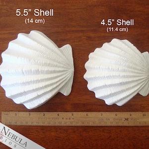 May include: Two white ceramic seashells, one measuring 5.5 inches (14 cm) and the other 4.5 inches (11.4 cm).