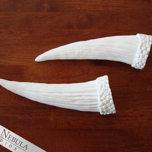 May include: Two white, textured, curved horns with a textured, bumpy base. The horns are on a brown wooden surface.