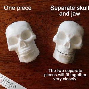Blank Small Skull Cabochon, Flat Back Mini Skull Sculpture, Blank Resin Skull, Miniature Skeleton Head, Unpainted Skull Embellishment immagine 5