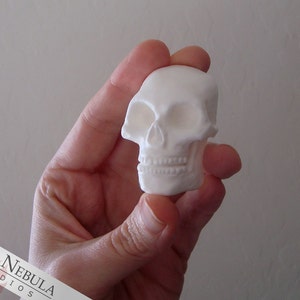 Blank Small Skull Cabochon, Flat Back Mini Skull Sculpture, Blank Resin Skull, Miniature Skeleton Head, Unpainted Skull Embellishment immagine 2