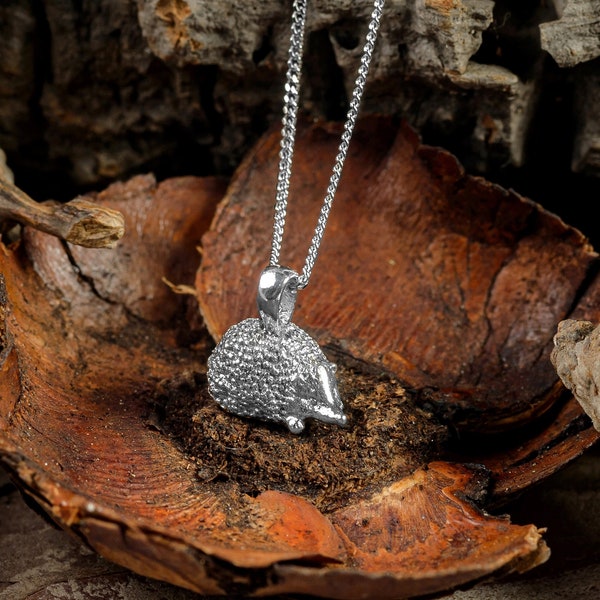 Collier hérisson en argent sterling massif, cadeau pour amoureux de la nature, bijoux hérisson, collier délicat, cadeau pour amoureux des animaux, bijoux bohème