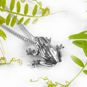 Colar de sapo em prata esterlina 925 maciça, pingente de sapo da sorte, colar de sapo em prata esterlina, joias de anfíbios, presentes de sapo, banhado a ouro 24 quilates