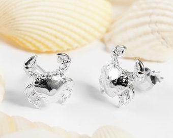May include: A pair of silver crab earrings. The earrings are small and delicate, and they feature a realistic crab design.