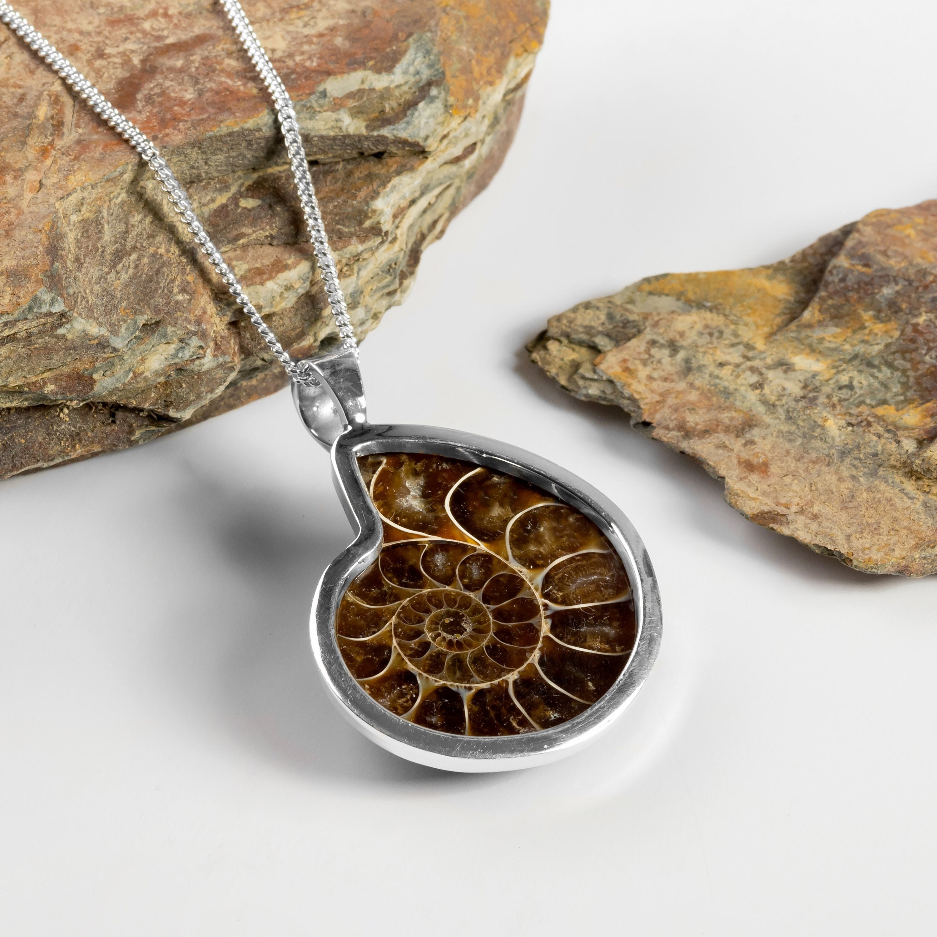 Ammonite Fossil Necklace Ammonite Fossil Necklace