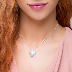 Op de afbeelding: Een zilveren ketting met een blauwe en zilveren schildpad hanger. De schildpad is gemaakt van een lichtblauwe edelsteen met zilveren accenten.