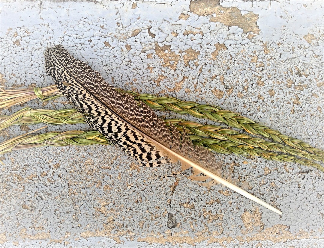 Organic 20 Sweet Grass Braid /fresh & Fragrant/ Holy Grass Smudge ...