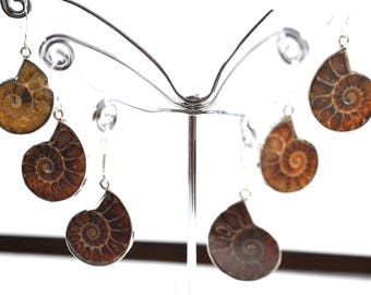 Vintage earrings with Ammonites fossil