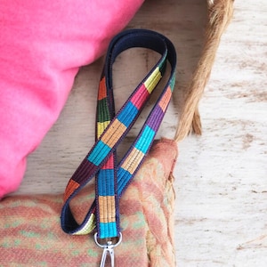 May include: A colorful striped lanyard with a silver swivel clasp. The lanyard is made of black webbing with colorful stripes of red, orange, yellow, green, blue, and purple.