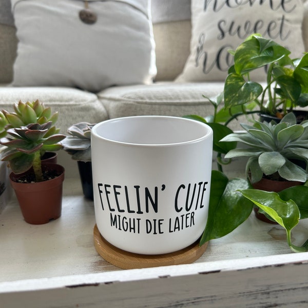 Feelin' Cute Might Die Later / 4" Premium divertente fioriera / vaso per piante / fioriere divertenti / pianta divertente dicendo / vaso in ceramica bianca da 4"