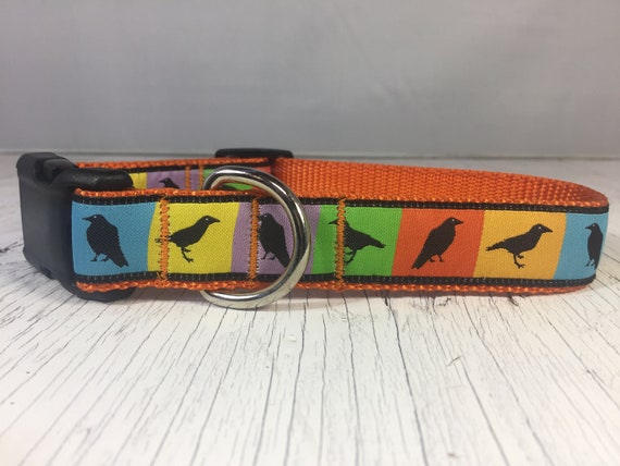ravens dog collar