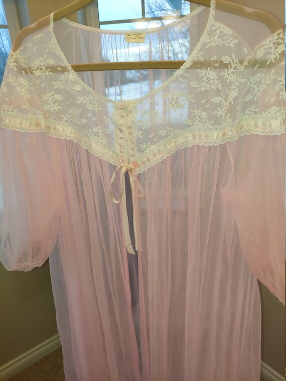 1970s Sheer Pink Gown Lace Neckline - image 1