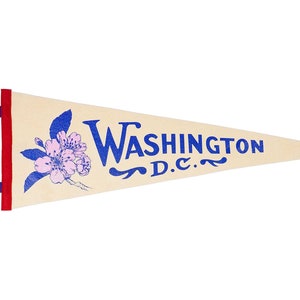 Washington D.C. Pennant