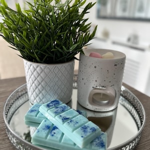 Unstoppably Fresh Wax Melts Fresh, Bold & Unstoppable