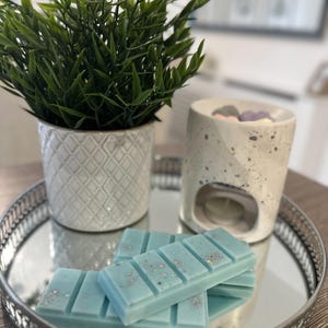 Baby Powder Wax Melts Soft, Soothing & Full Of Comfort