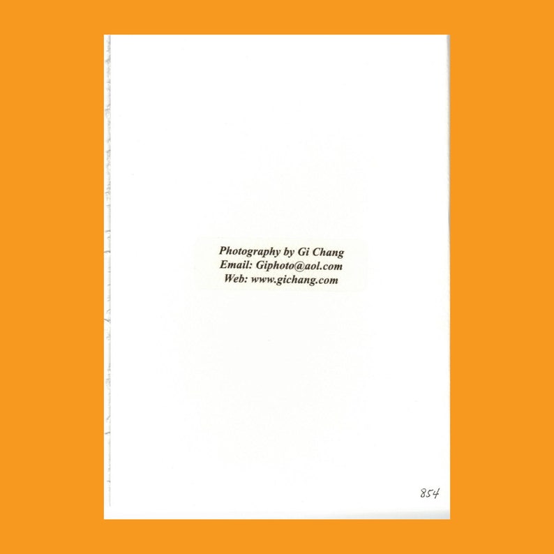 Long Life-birthday Card in Chinese Calligraphy - Etsy