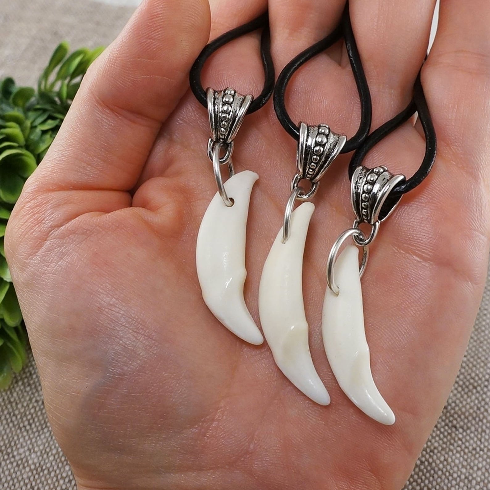 Real Wolf Tooth Necklace Genuine White Ivory Wolf Tooth Teeth Etsy