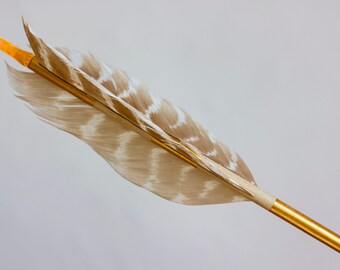 Hand Painted Cedar Arrow | Gold Color Block Wall Decor | Boho Eclectic Art