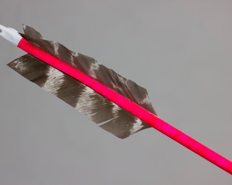 Hand Painted Cedar Arrow | Neon Pink Gold Stripes | Bold Colorful Wall Decor | Eclectic Home Decor | Statement Wall Art | Handmade Arrow