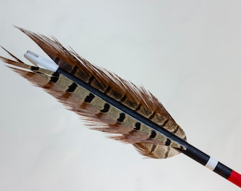 Hand Painted Hardwood Arrow | White Black Red Color Blocks Pheasant Feather | Bold Wall Decor | Eclectic Home Decor | Handmade Arrow Art