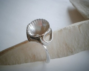 Holiday Jewelry - Shell Ring - Sterling Silver - Free Shipping