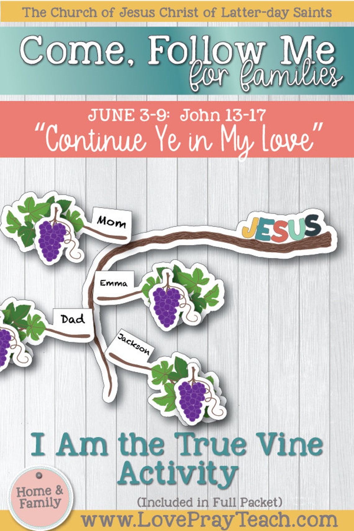Come Follow Mefor Individuals and Families New Testament Etsy