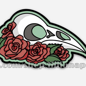Puede incluir: Una pegatina con un diseño de calavera de pájaro con rosas rojas y hojas verdes. La calavera es blanca con cuencas de ojos grises y un fondo verde claro. La pegatina tiene un borde verde y el texto "etsy.com/shop/sitianapress".