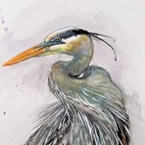 Printing of watercolor painting, Great Blue Heron,  221204
