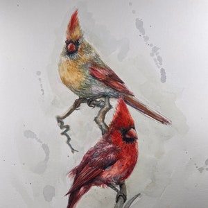 Printing and Original Watercolor Painting, Cardinal Birds Couple , 11x15 original, 221127