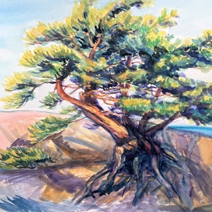 Original Watercolor Painting, Tree on Georgian Bay, 11x14, 220126