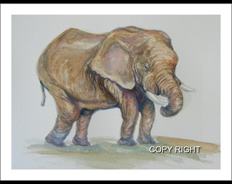 Original water color painting, Baby elephant 11x10 inch paper with 0.5in edge, brown, animal painting, elephant, 150101