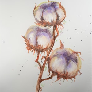 Original Aquarell, Baumwolle Boll Blumen Zweig, 8 x 10, 201125