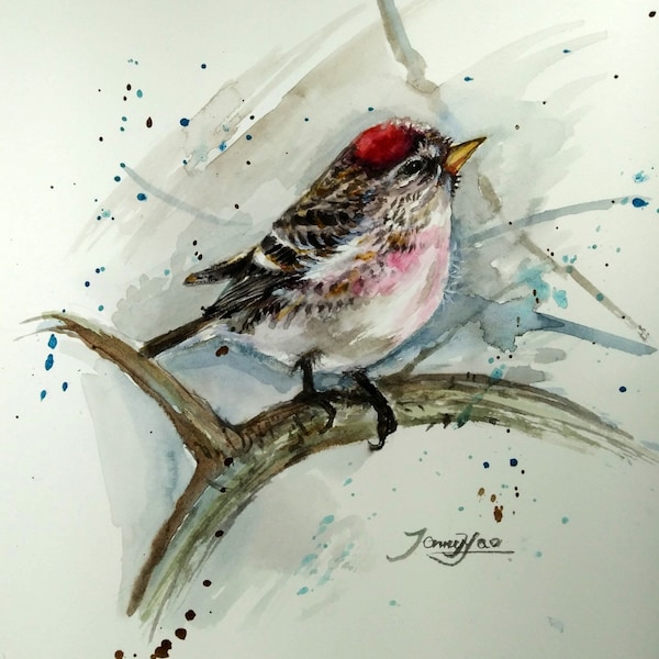 Printing of Original Water Color painting, Bird on Branch , 2020-7-2/014