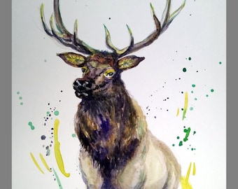 Original Water Color Painting, Moose, 10"x8", 160482