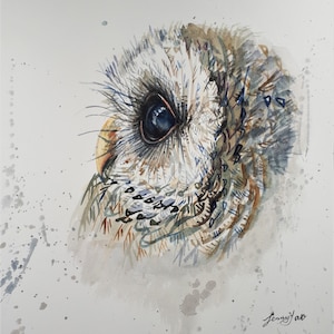 Original Watercolor Painting Printing, Owe II, 8x10 inch , 2003191