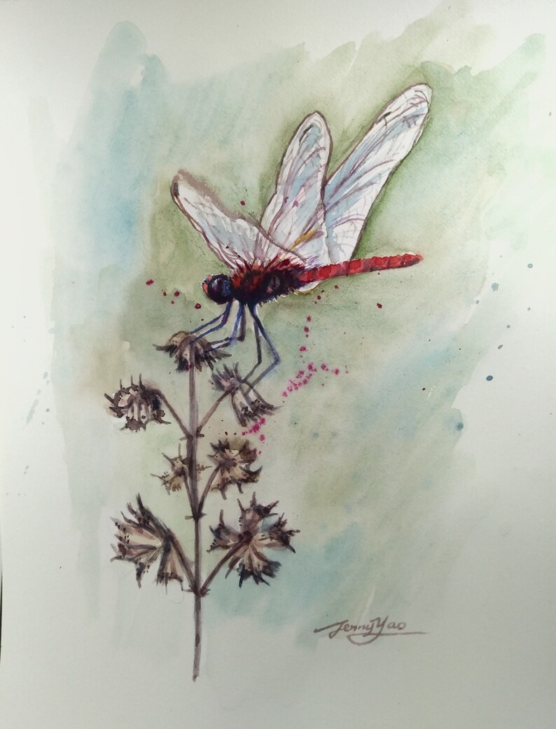 2006231 Original Water Color painting Dragonfly on plant 8x10