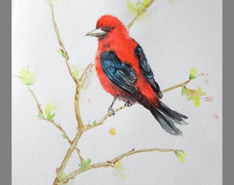 Original water color Painting, Red Birds, 11"x14", 160399,