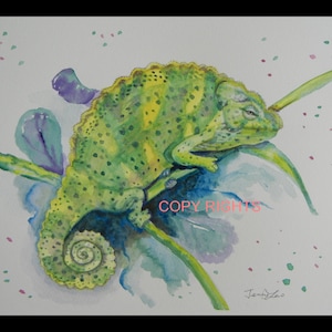Original Aquarell Malerei, Chamäleon 10 x 8, Tier Malerei, grün, Purpla, blau, gelb