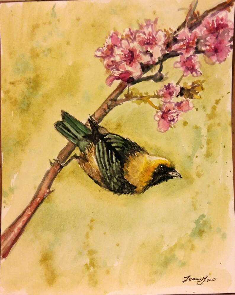 Original watercolor painting, Spring Bird with yellow and green, 1712143, 10x8 image 1