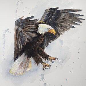 Printing of sold Original Water Color painting, Eagle II,  3 sizes option, 2006115