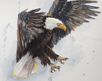 Printing of sold Original Water Color painting, Eagle II,  3 sizes option, 2006115