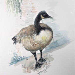 Original Watercolor Painting, Canadian Goose, 8x10, 220129