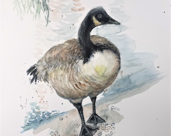 Original Watercolor Painting, Canadian Goose, 8x10, 220129
