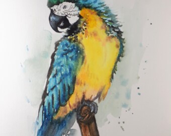 Original Watercolor Painting, Blue Parrot, 10"x8", 1906209