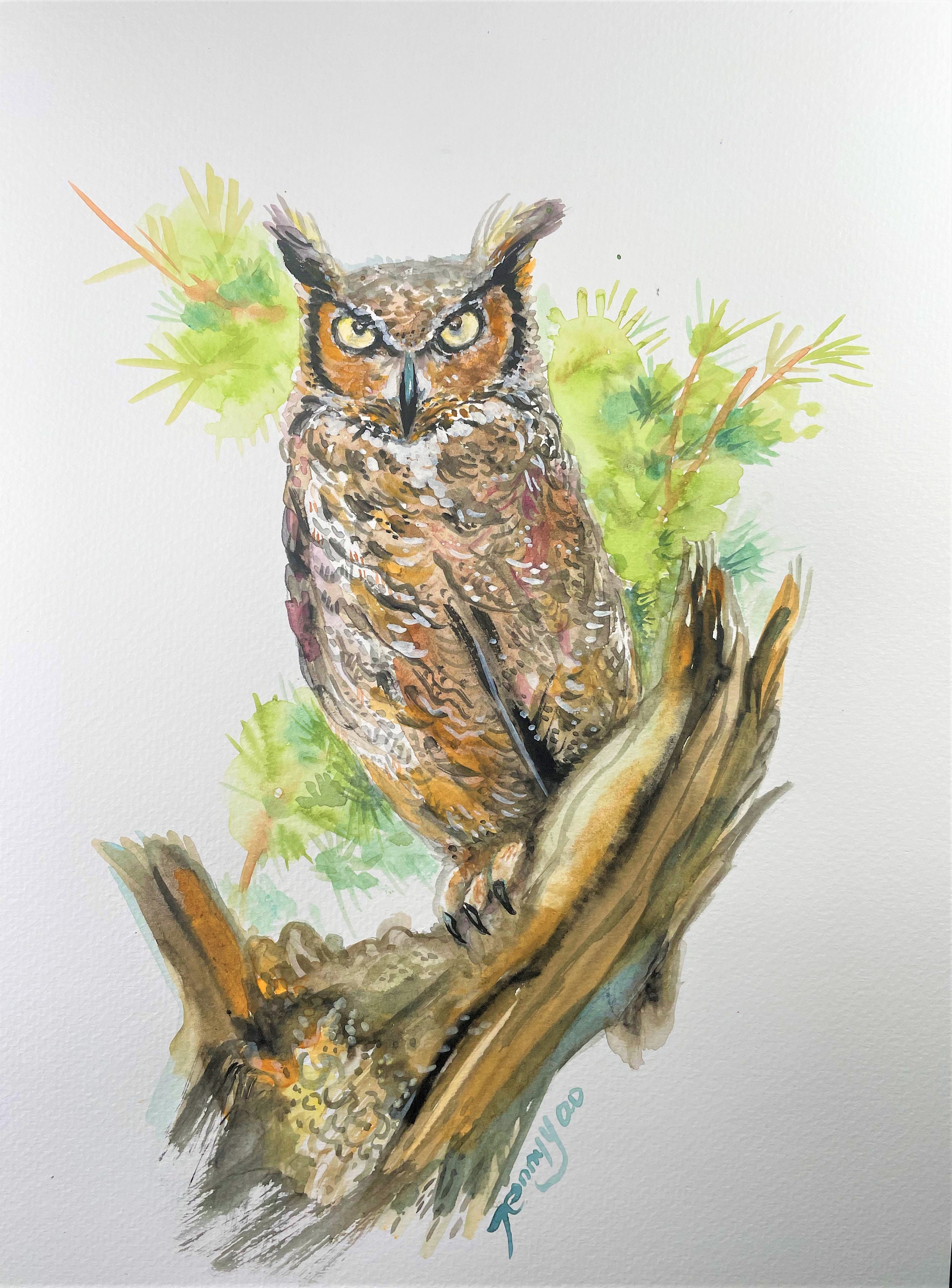 オリジナル水彩画、フクロウ 2、9x12、220406 - Etsy 日本