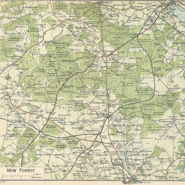 1930 New Forest United Kingdom Antique map