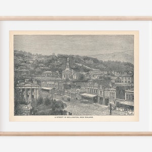 1892 Wellington New Zealand Antique Engraving Print